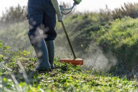D&eacute;broussaillage &agrave; Pont-de-Roide-Vermondans, une &eacute;tape cl&eacute; pour votre jardin